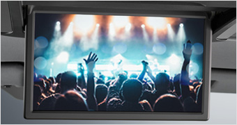 entertainment system